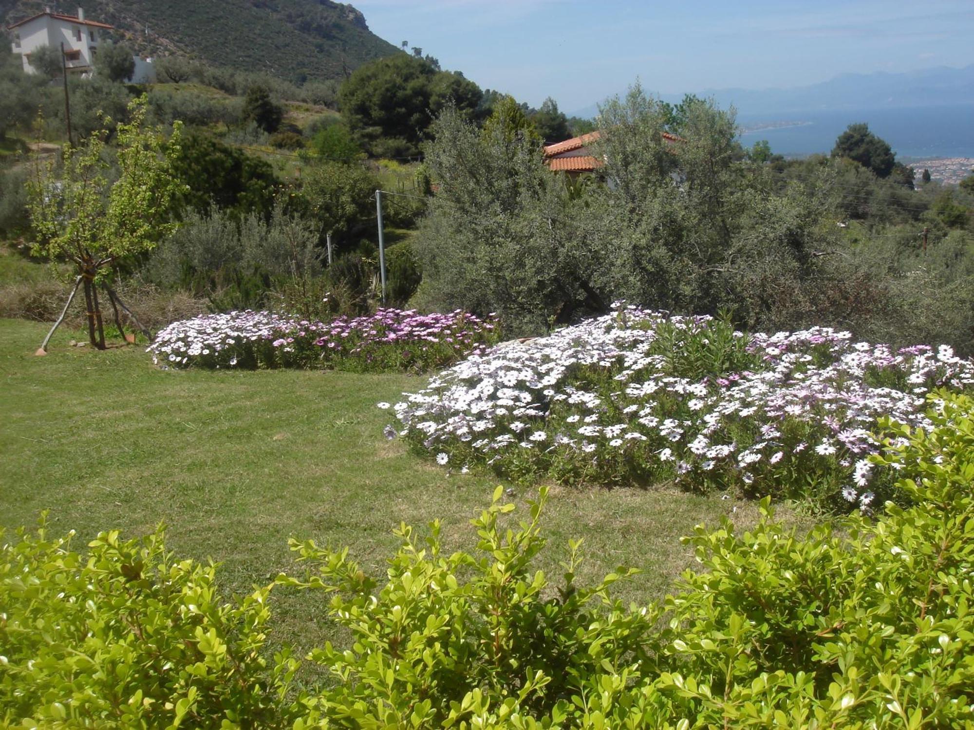 Hotel Theasi Диакопто Екстериор снимка
